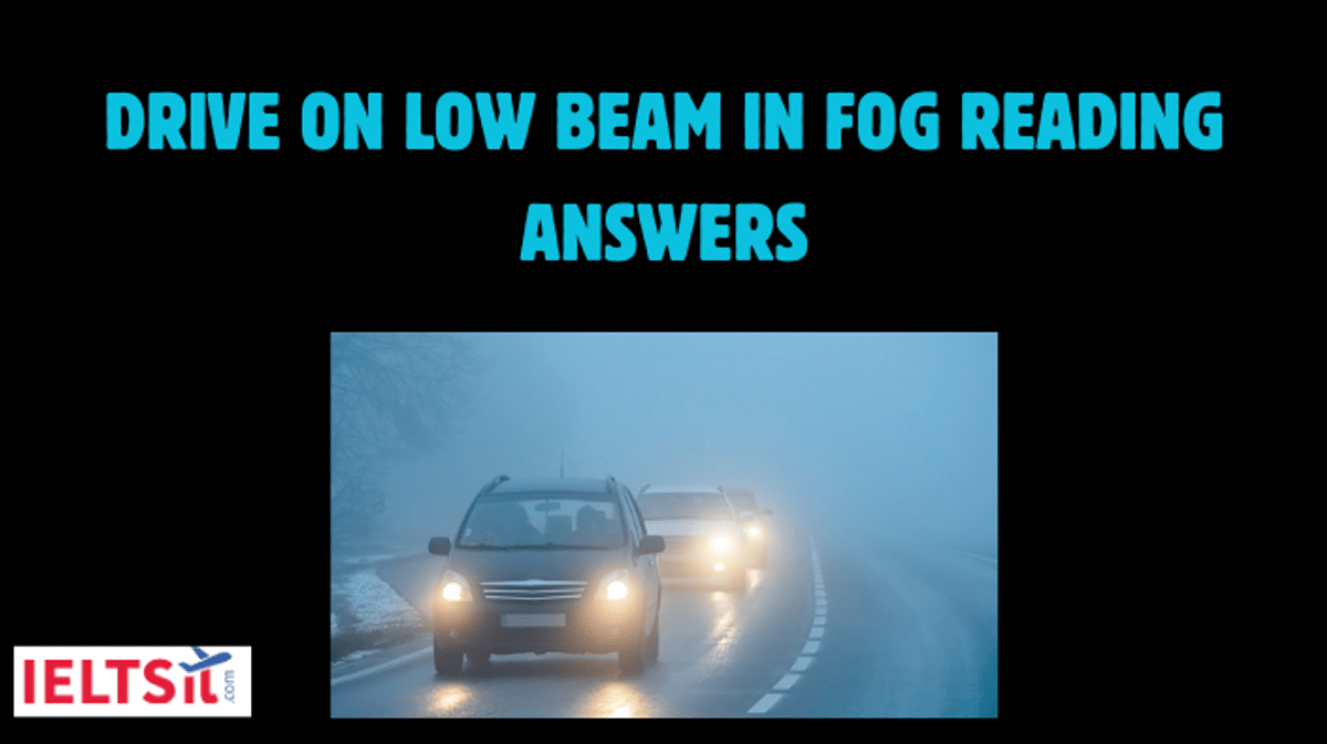 Drive on Low Beam in Fog Reading Answers