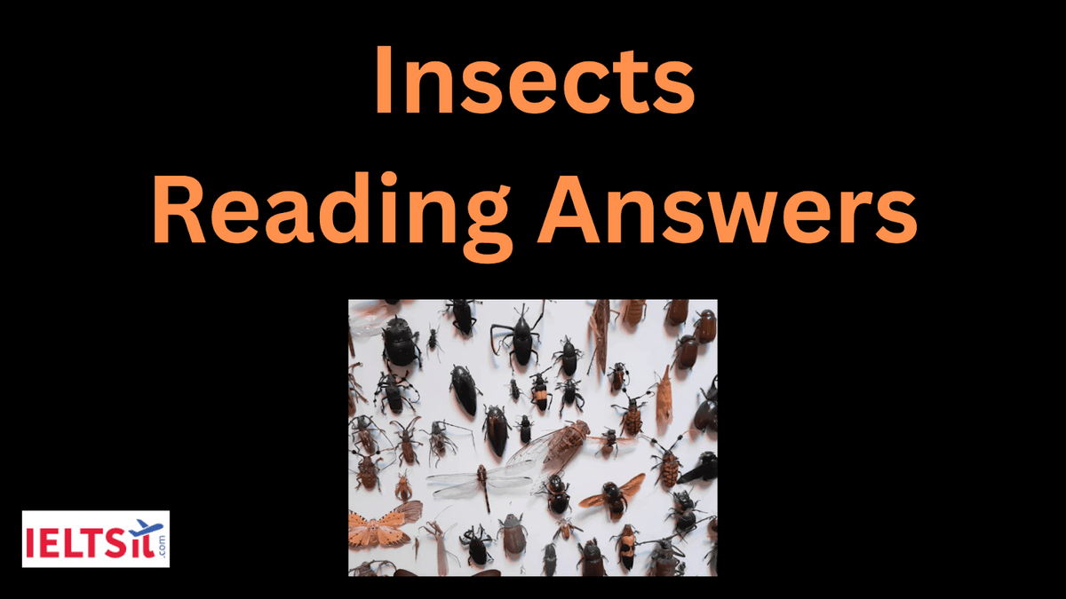 Insects Reading Answers