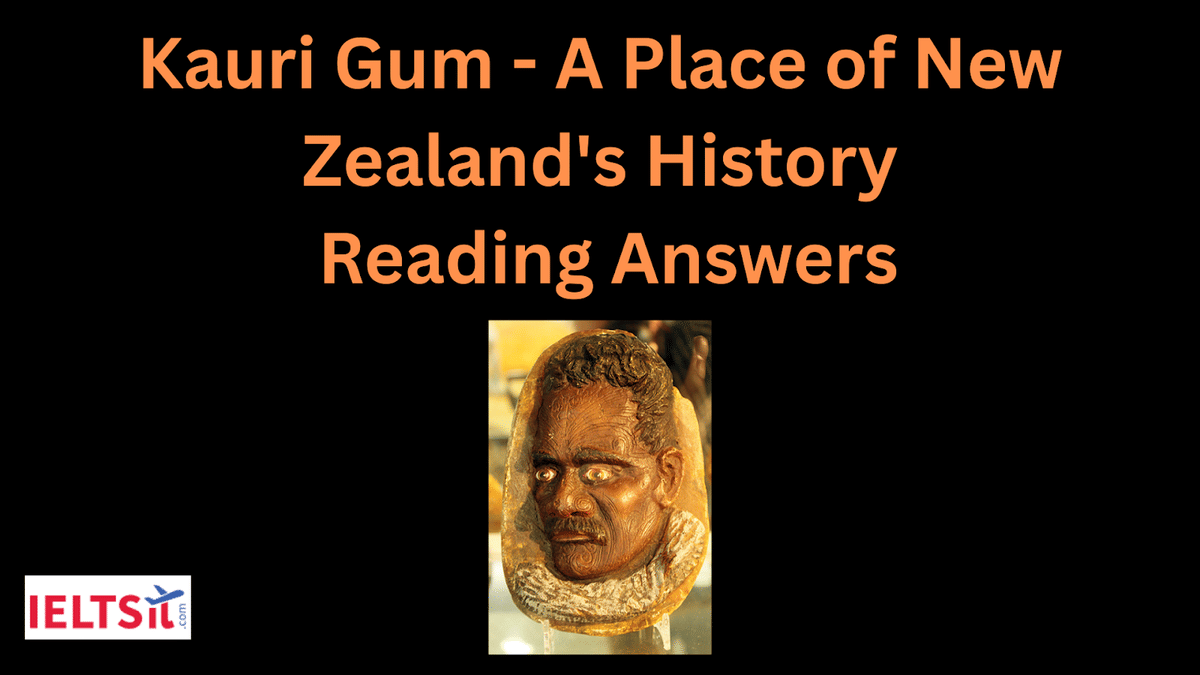 Kauri Gum - A Place of New Zealand's History Reading Answers