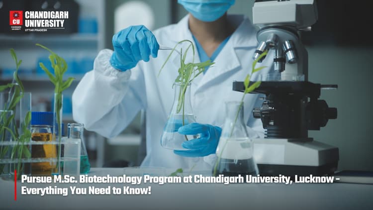 Chandigarh University, Uttar Pradesh