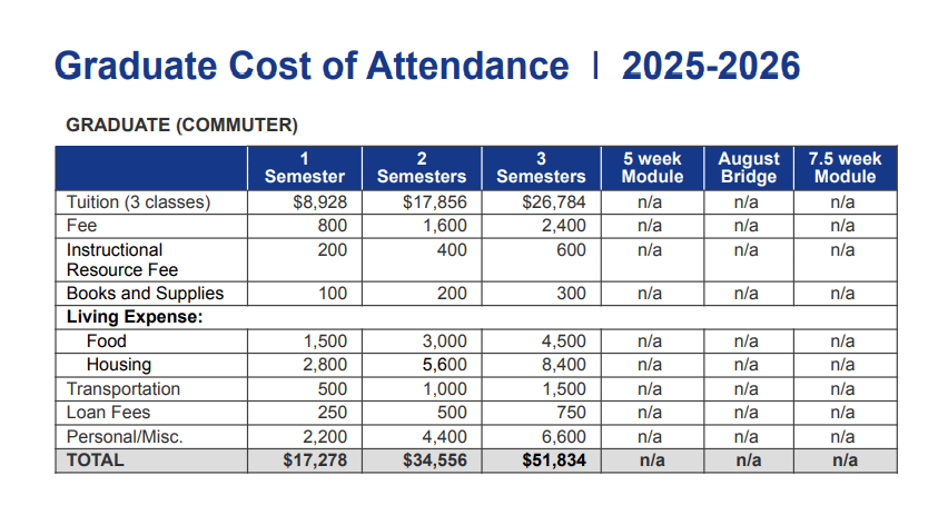 MS Accounting Fees