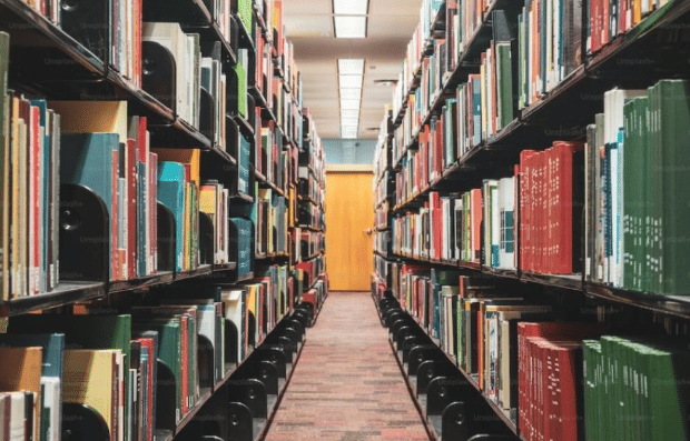 NIILM University Library