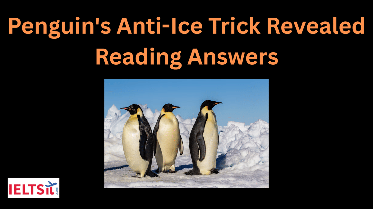 Penguin's Anti-Ice Trick Revealed Reading Answers