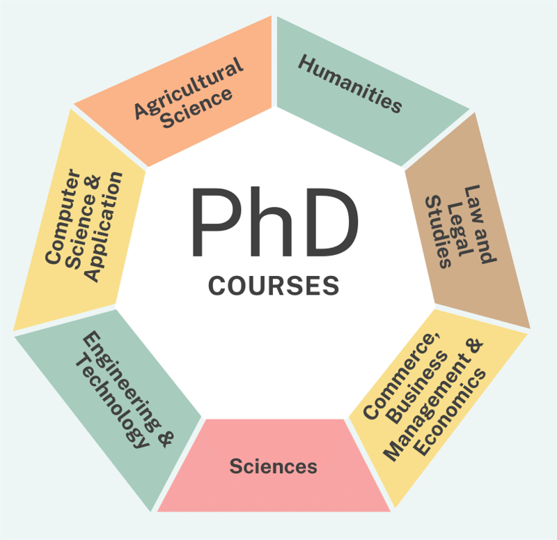 DAV University PhD 