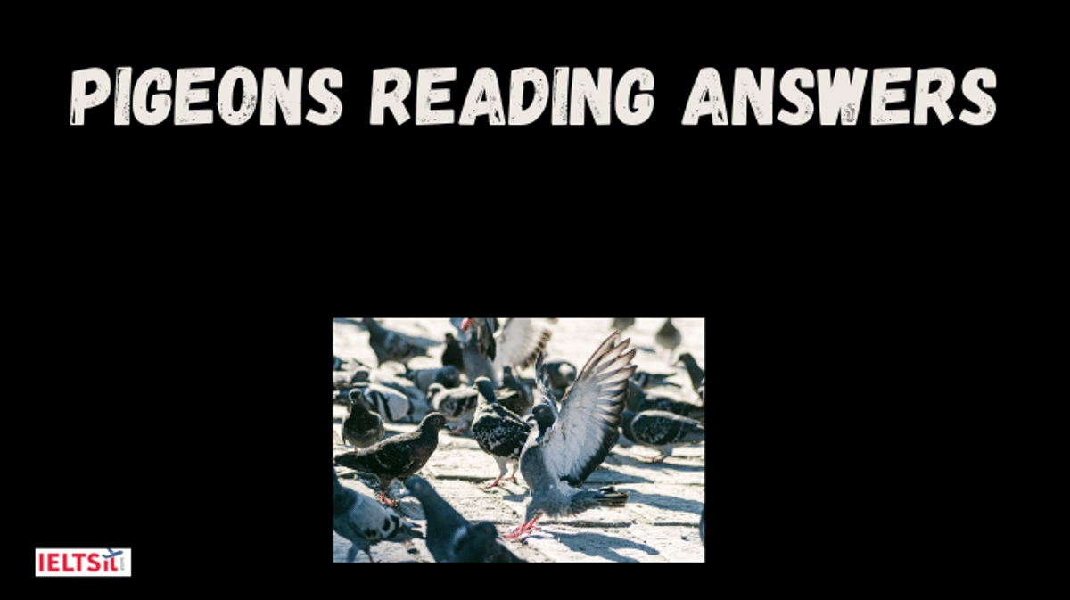Pigeons Reading Answers