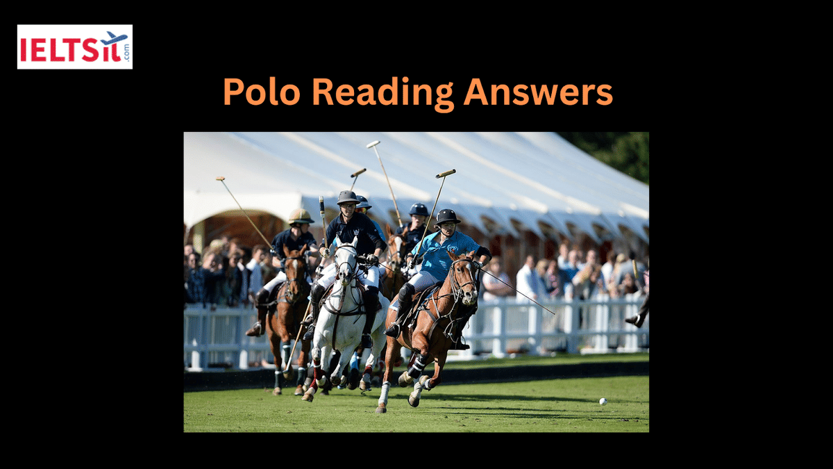 Polo Reading Answers