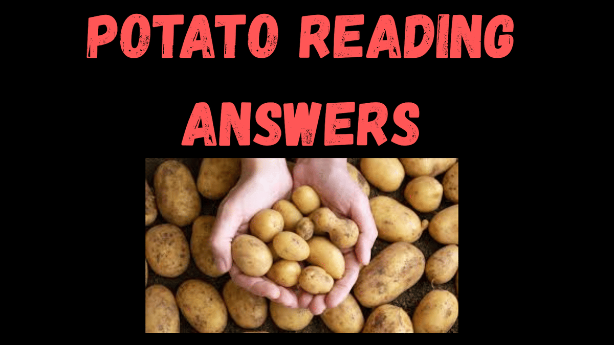 potato reading answers