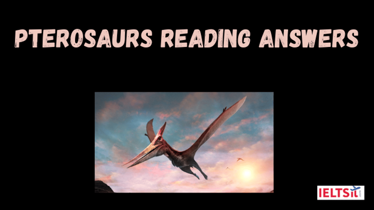 Pterosaurs Reading Answers