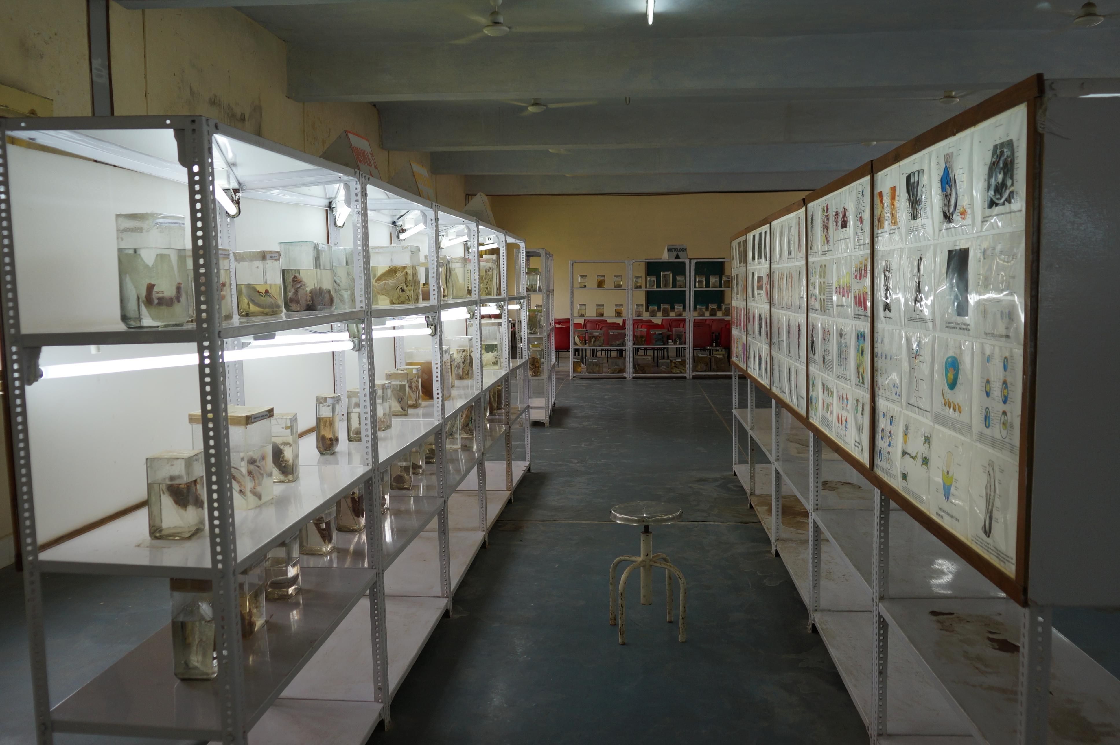 RDGMC Anatomy Lab
