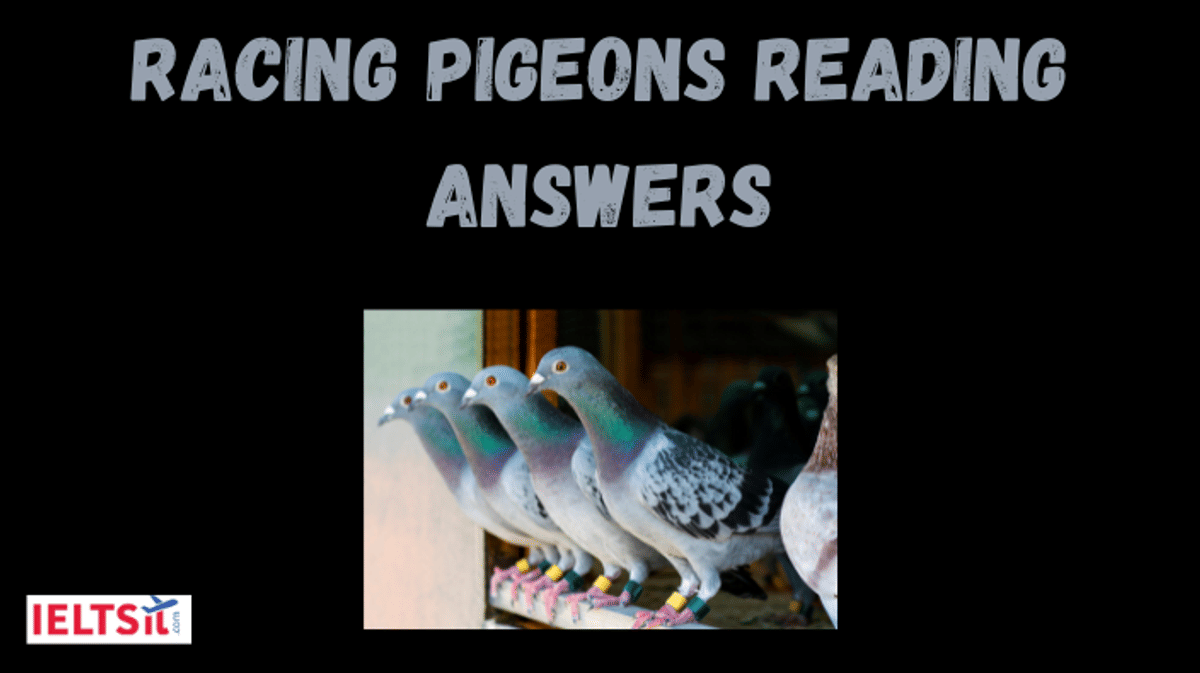 Racing Pigeons Reading Answers