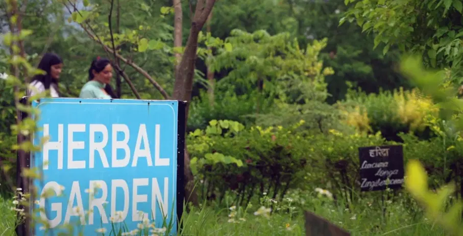 Abhilashi University Herbal Garden