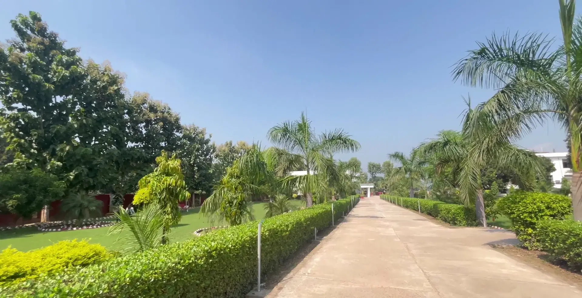 Focus on Safety and Inclusivity