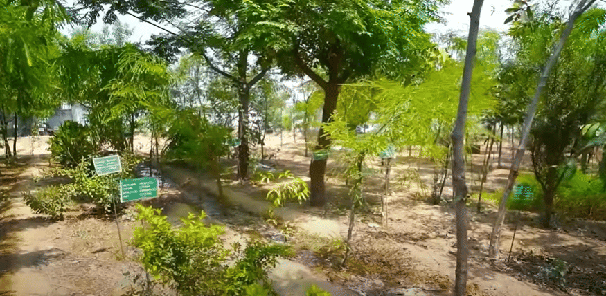 AU Aligarh Herbal Garden