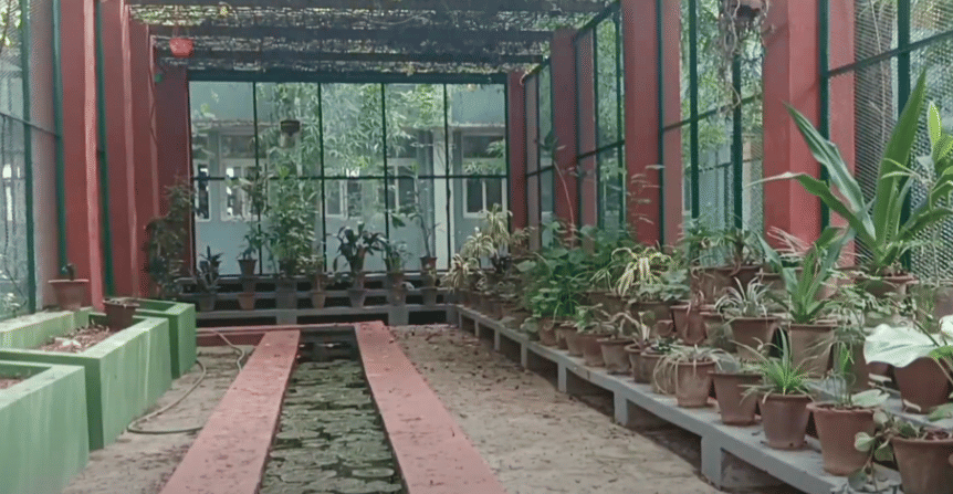 RIE Mysore Botany garden