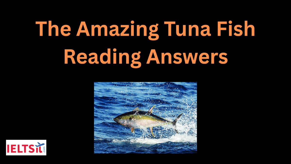 The Amazing Tuna Fish Reading Answers