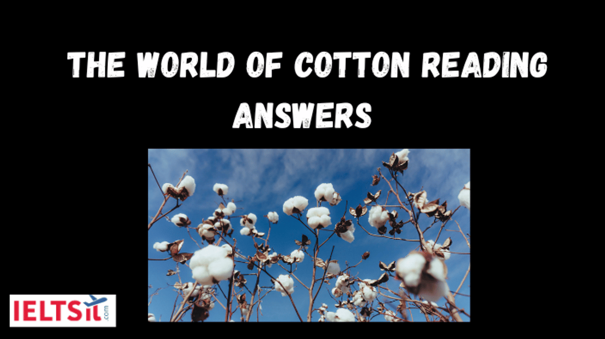 The World of Cotton Reading Answers