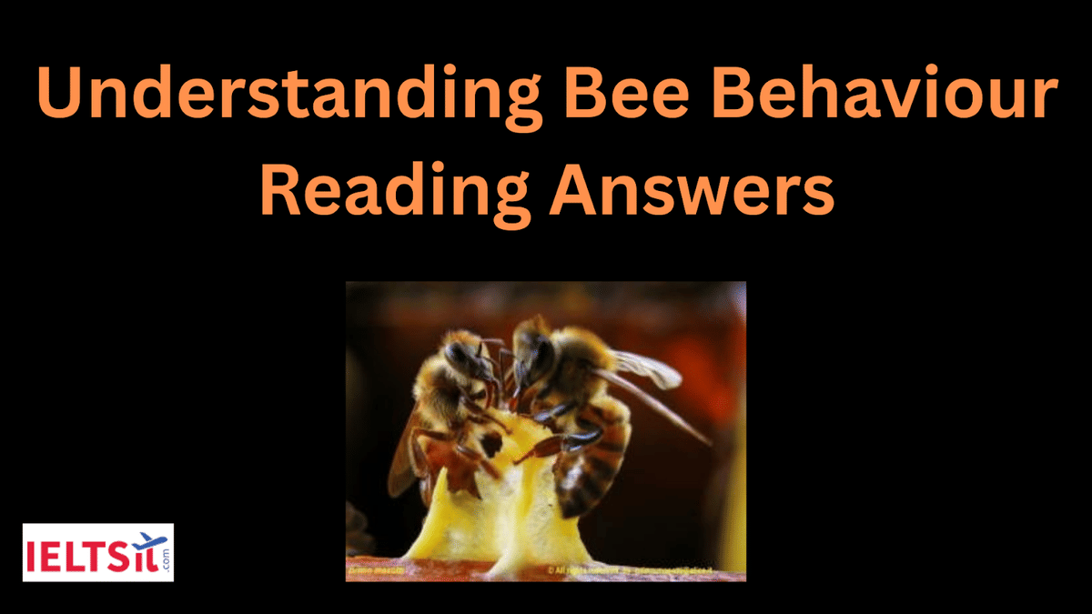 Understanding Bee Behaviour Reading Answers