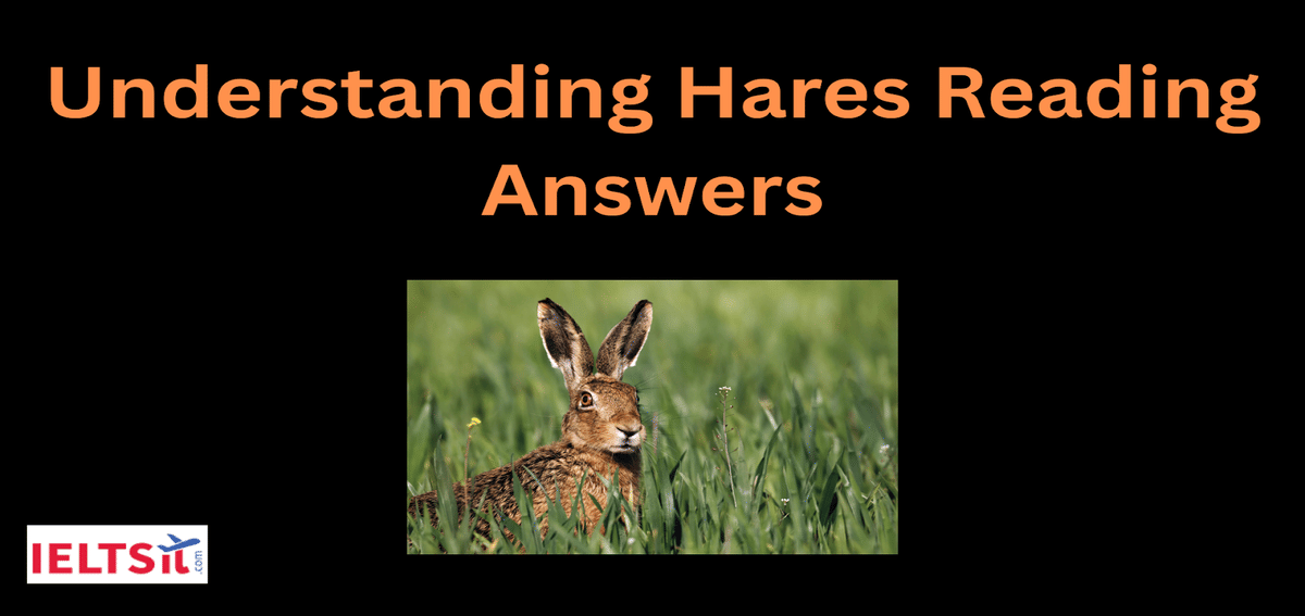 Understanding Hares Reading Answers