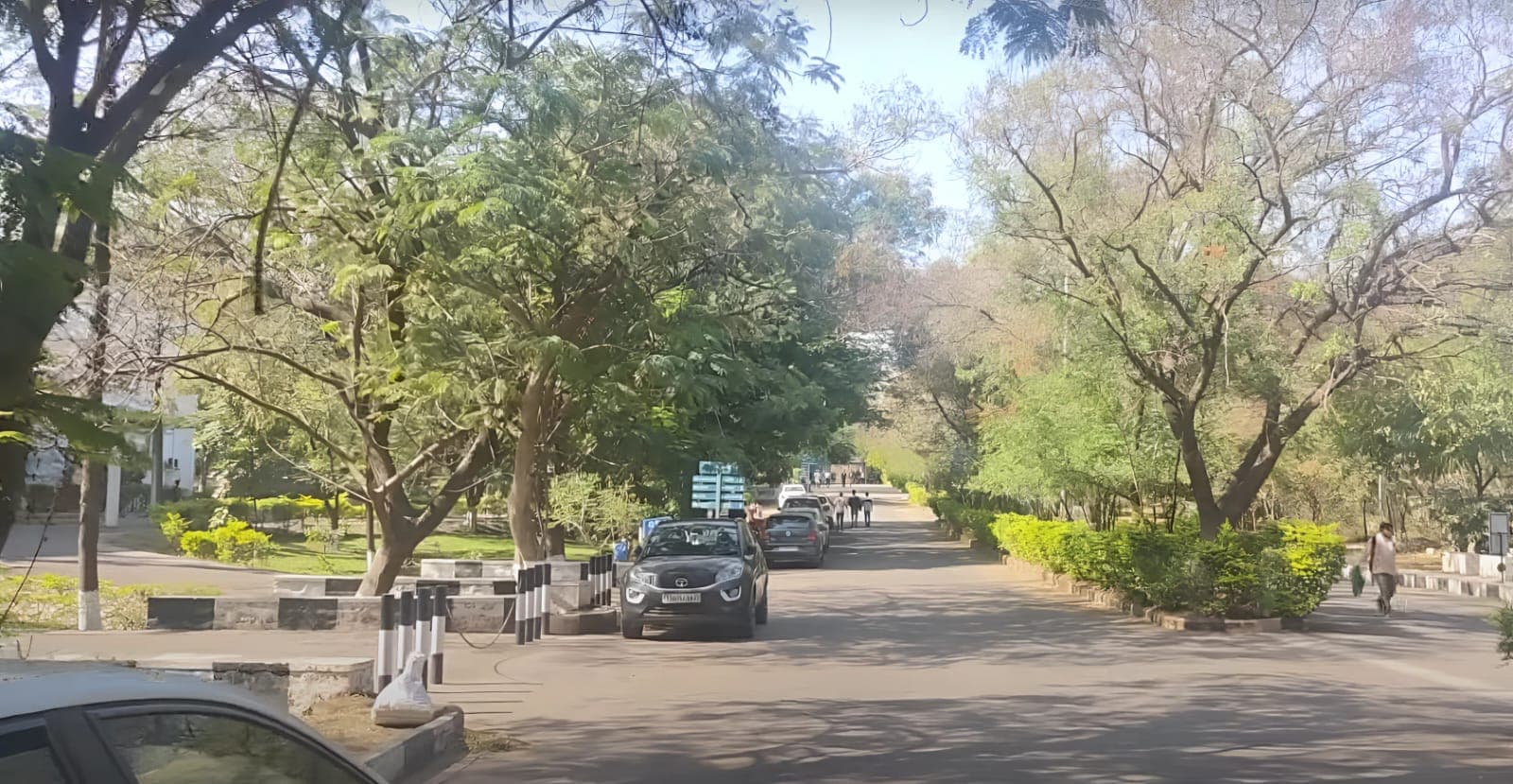 IIIT Hyderabad Inside Campus View