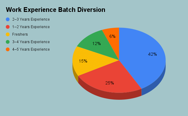 MDI Gurgaon Student's Work Experience