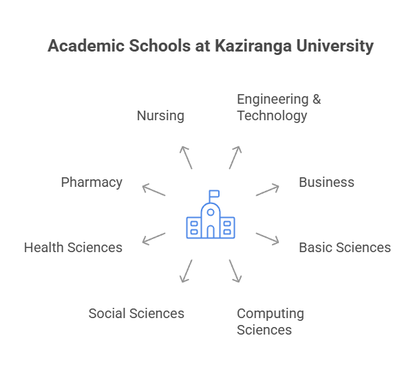 Kaziranga University Schools