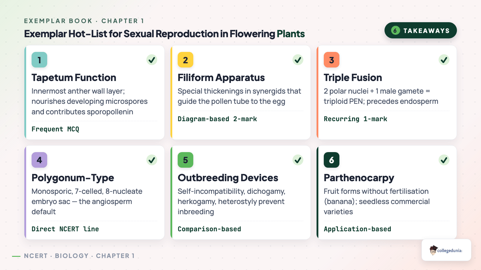 Exemplar key takeaways for Sexual Reproduction in Flowering Plants covering tapetum filiform apparatus triple fusion and outbreeding