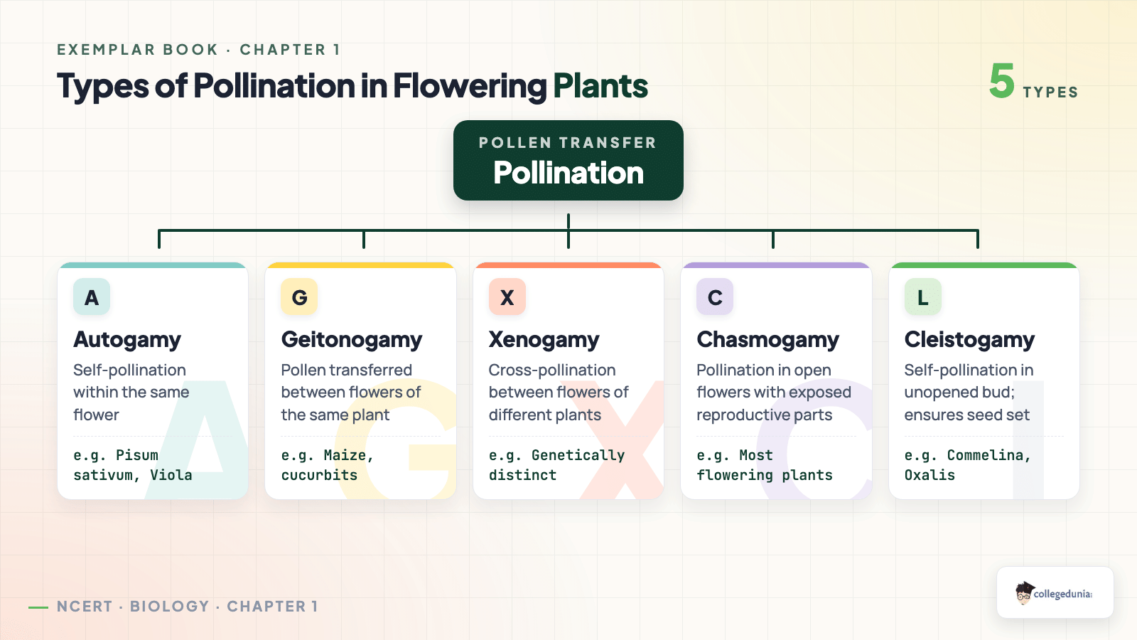 Types of pollination in flowering plants including autogamy geitonogamy xenogamy chasmogamy cleistogamy