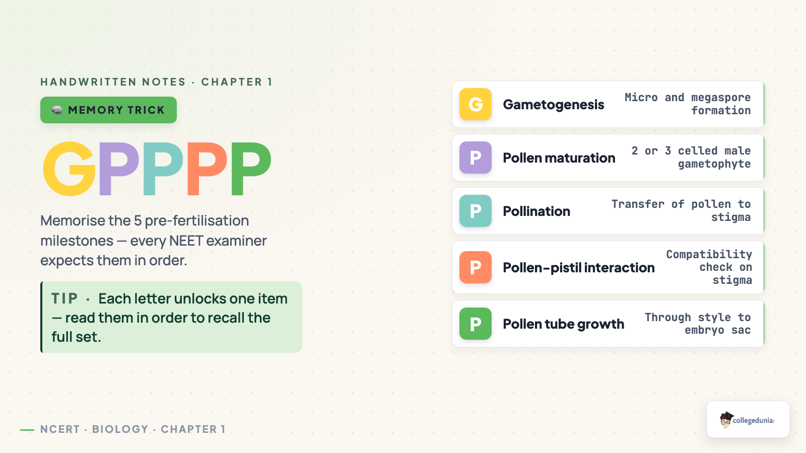 GPPPP mnemonic for the 5 pre-fertilisation events in flowering plants