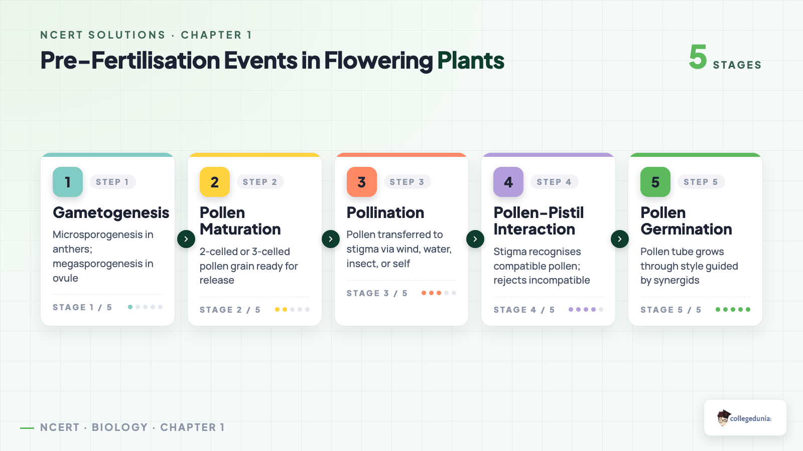 Pre-fertilisation events flow in flowering plants from gametogenesis to pollen tube growth