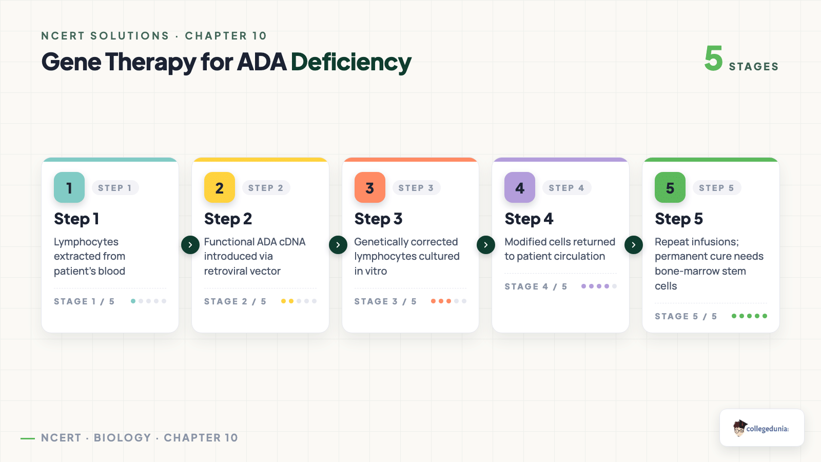 Gene therapy for ADA deficiency — 5-step process flow