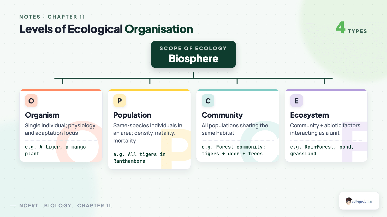 Levels of ecological organisation - organism population community ecosystem