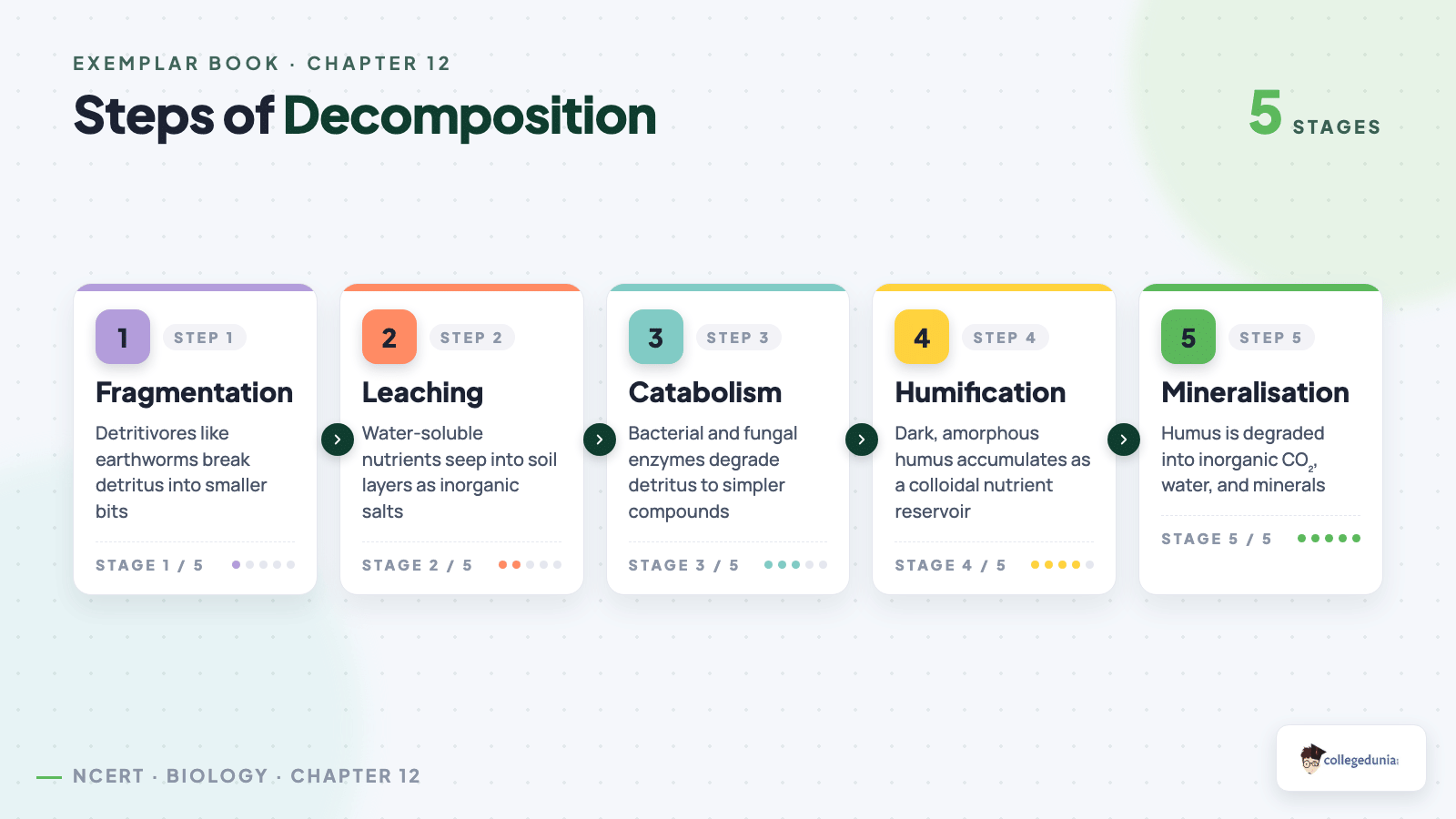 Five steps of decomposition: fragmentation, leaching, catabolism, humification, mineralisation