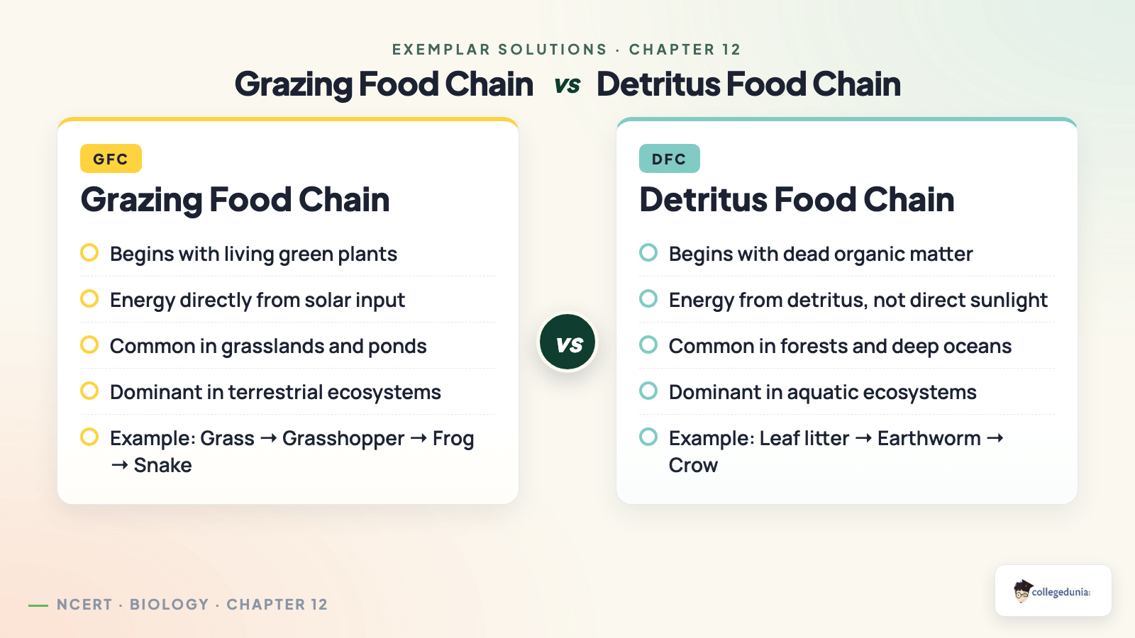 Grazing food chain vs detritus food chain side-by-side comparison