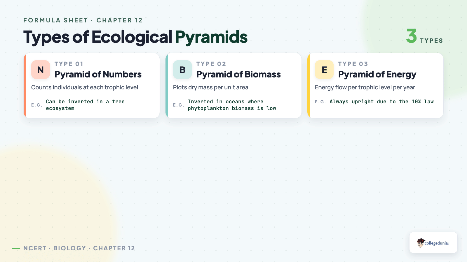 Types of ecological pyramids: numbers, biomass and energy