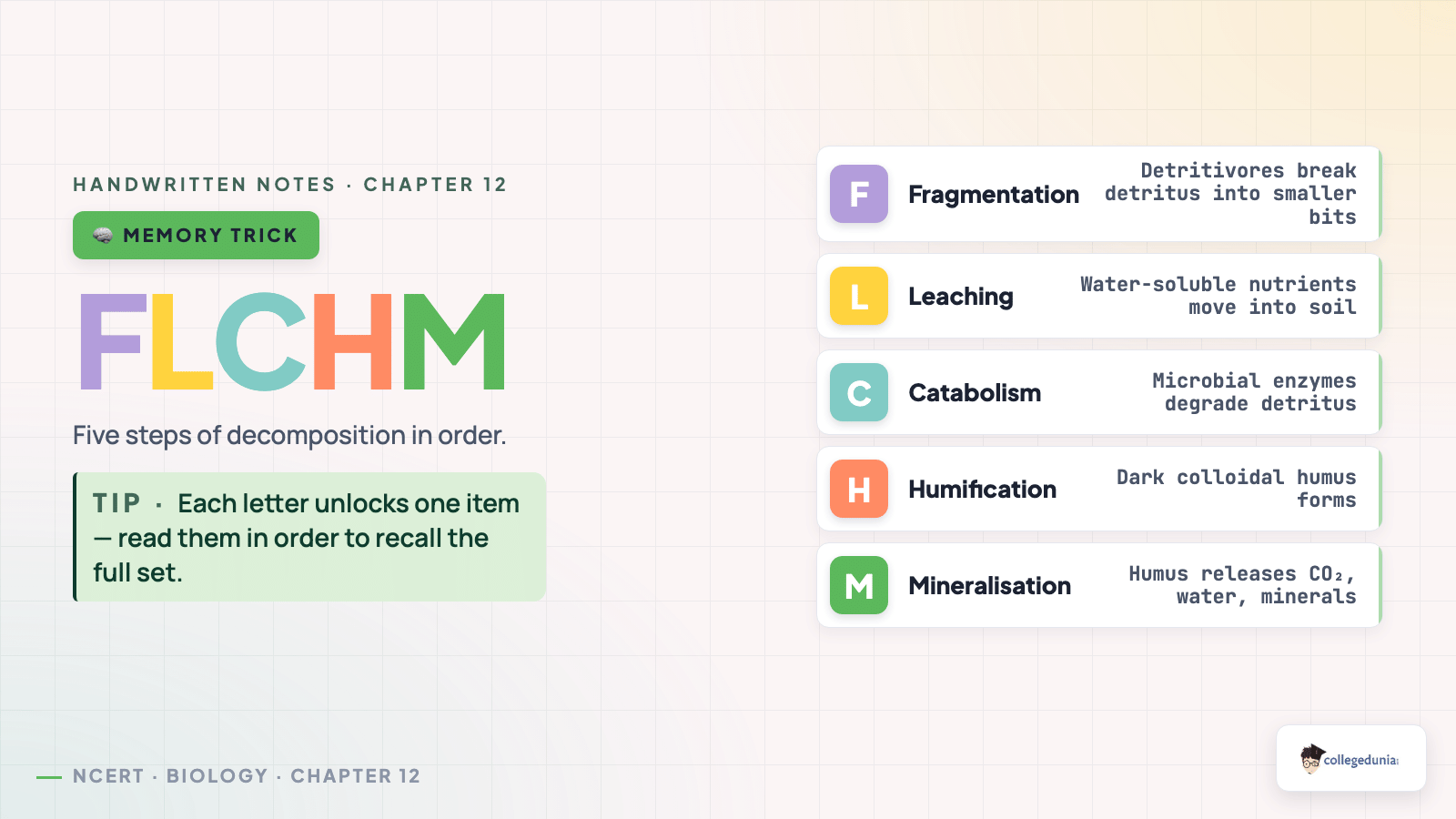 FLCHM mnemonic for decomposition steps: fragmentation, leaching, catabolism, humification, mineralisation