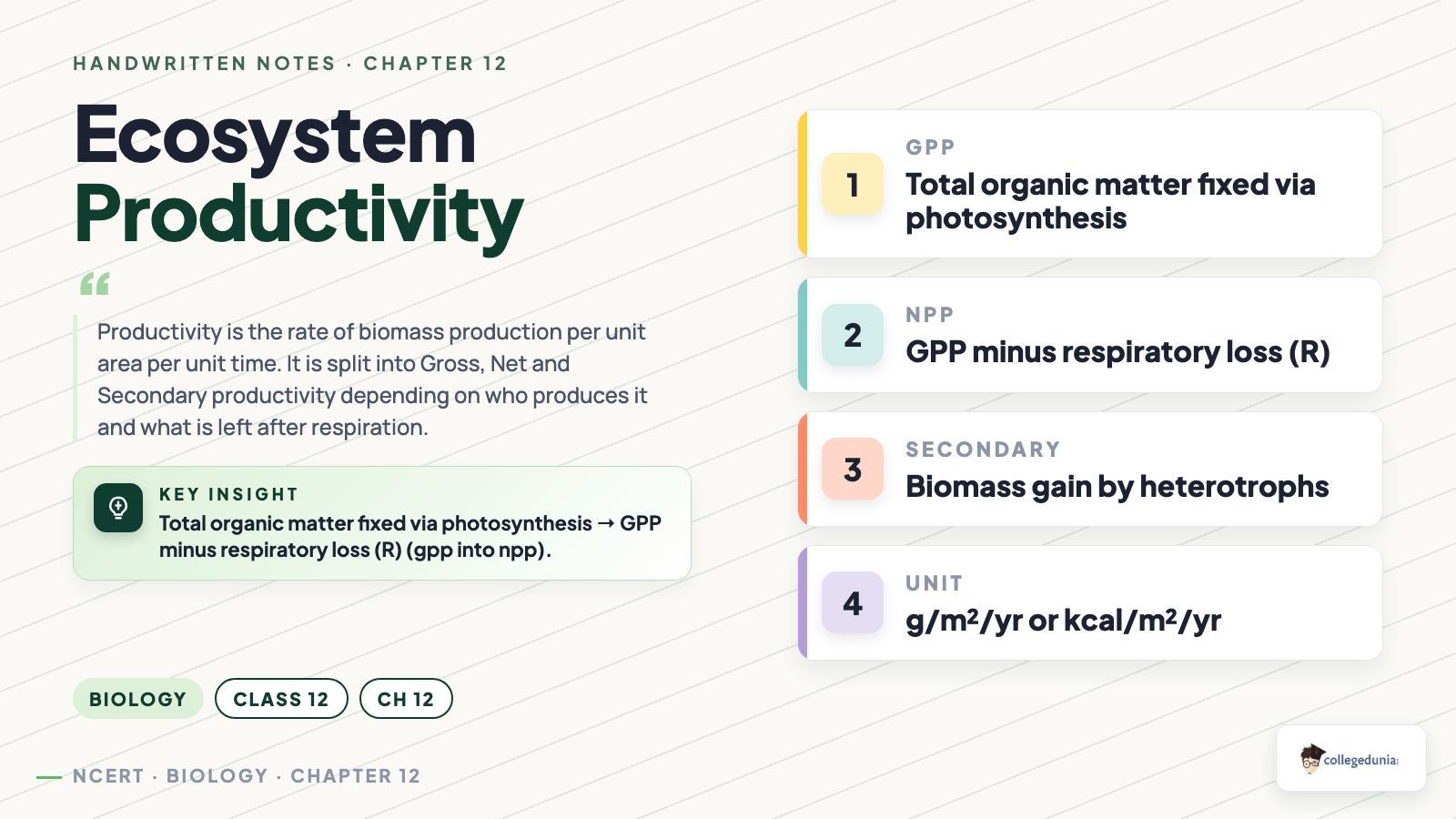 Ecosystem productivity: gross, net and secondary productivity definitions and units