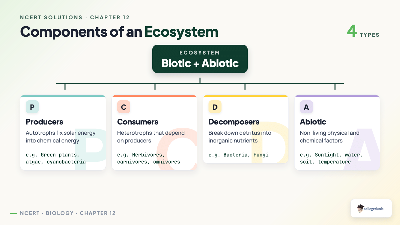 Components of an ecosystem: producers, consumers, decomposers and abiotic factors