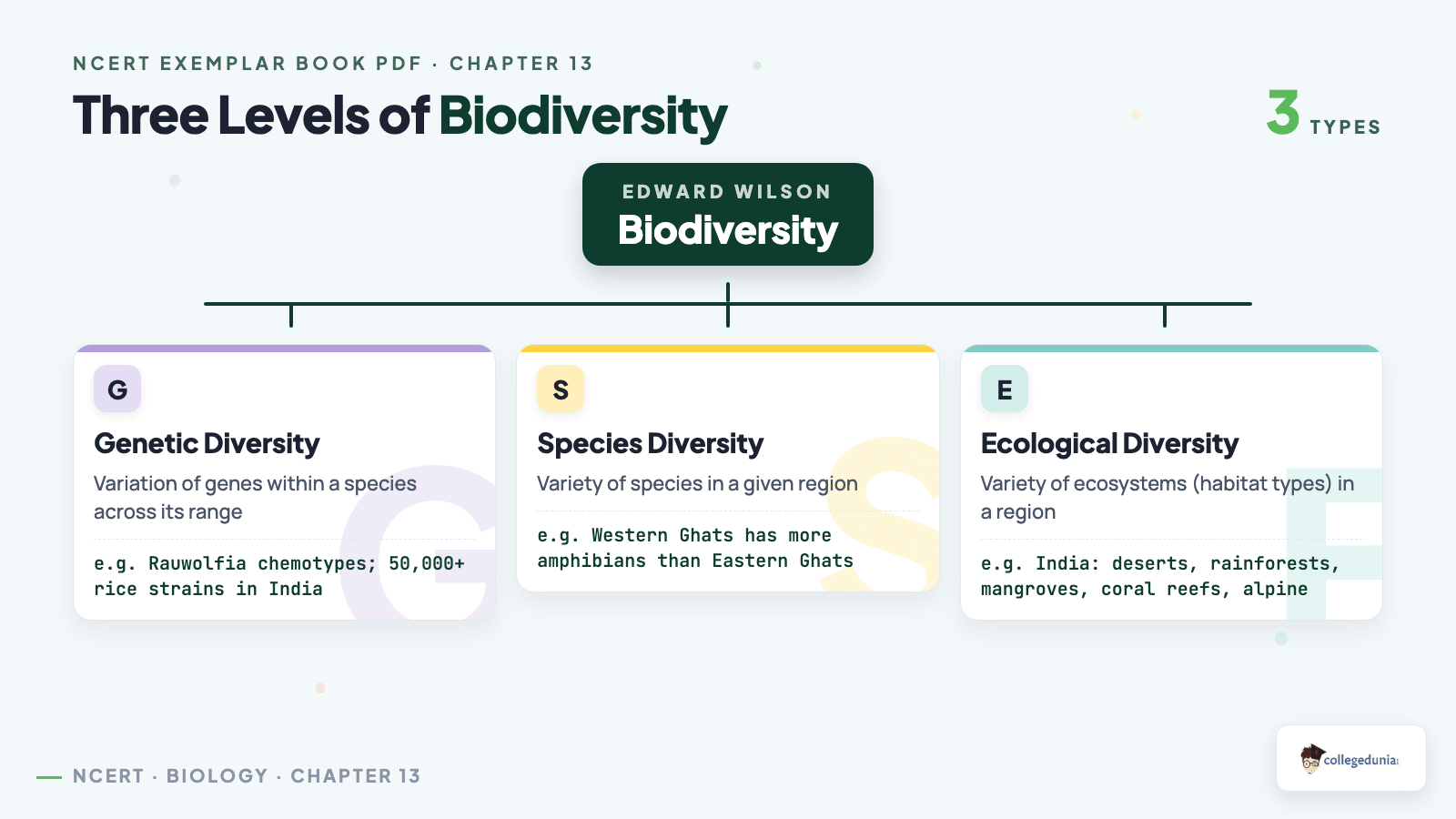 Three levels of biodiversity classification tree — genetic, species, ecological for Class 12 Biology Chapter 13