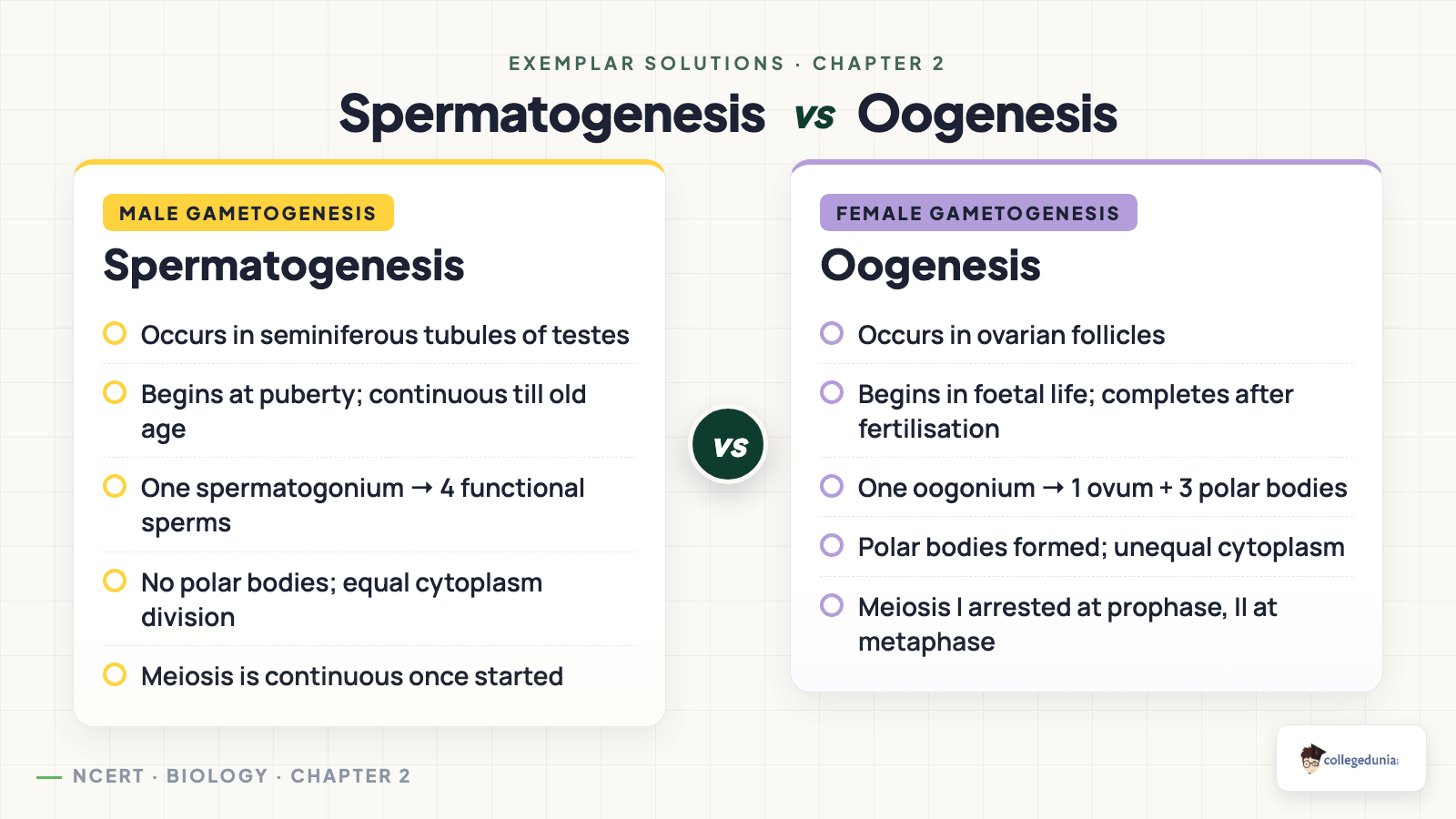 Spermatogenesis vs Oogenesis comparison — site, timing, gamete count, polar bodies, meiosis pattern, gamete morphology