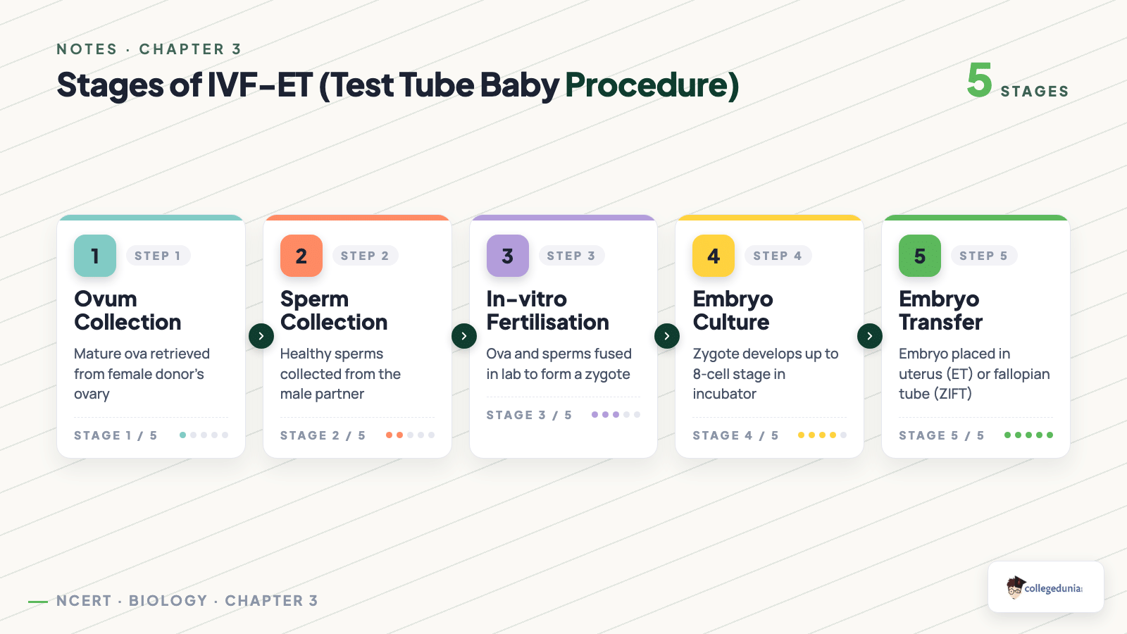 Stages of IVF-ET test tube baby procedure process flow for Class 12 Biology Reproductive Health notes
