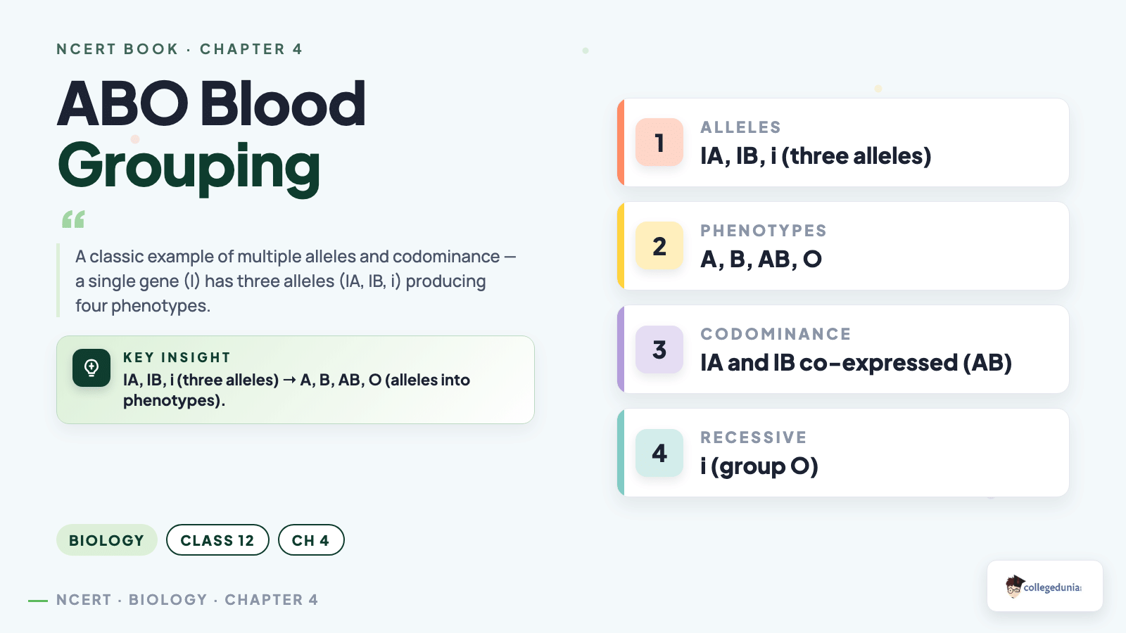 ABO Blood Grouping Codominance - Class 12 Biology Chapter 4
