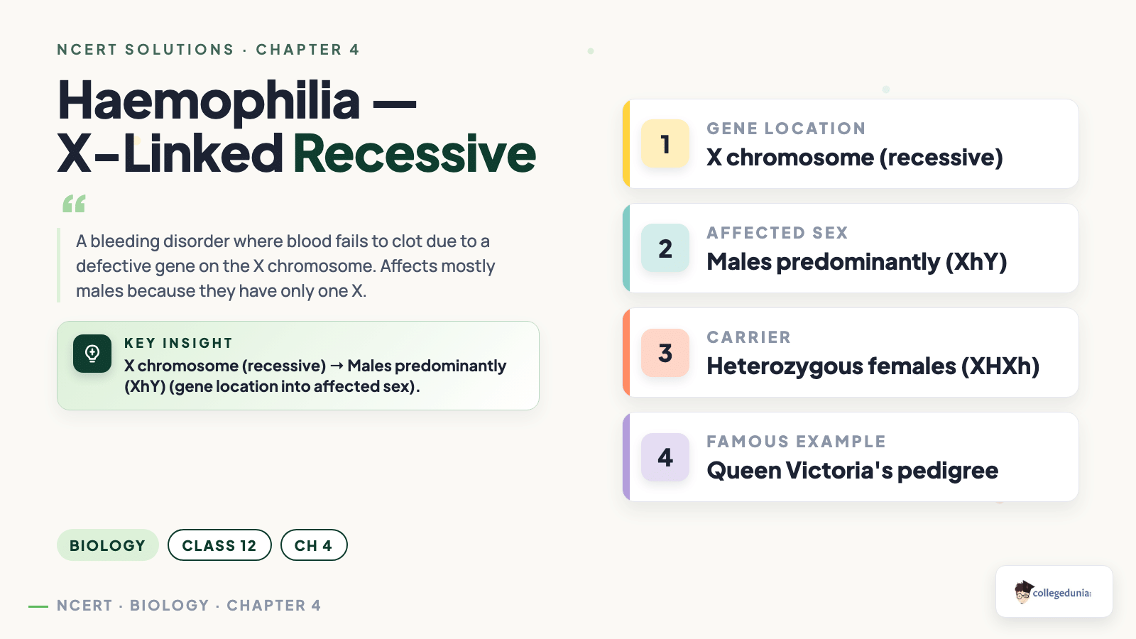 Haemophilia X-Linked Recessive - Class 12 Biology Chapter 4
