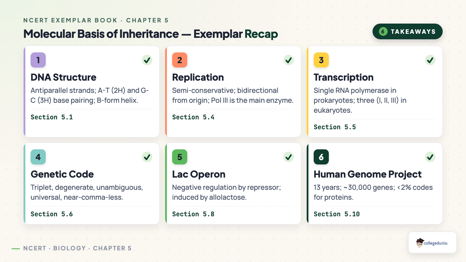 Molecular basis of inheritance exemplar key takeaways across DNA structure replication genetic code lac operon and HGP