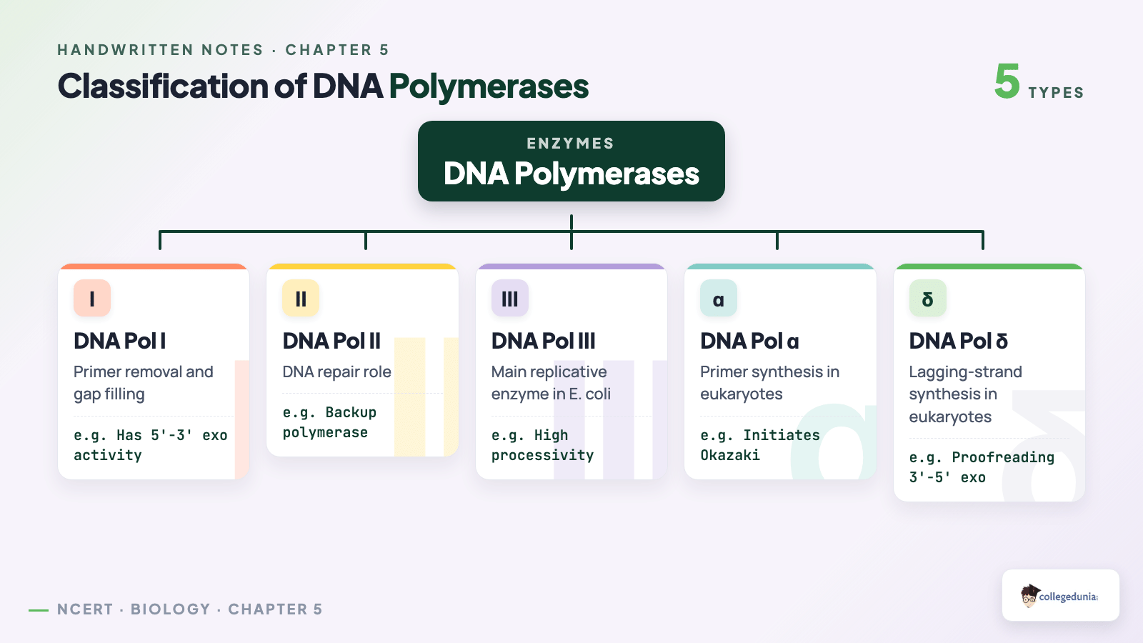Classification tree of DNA polymerases Pol I Pol II Pol III alpha and delta with functions
