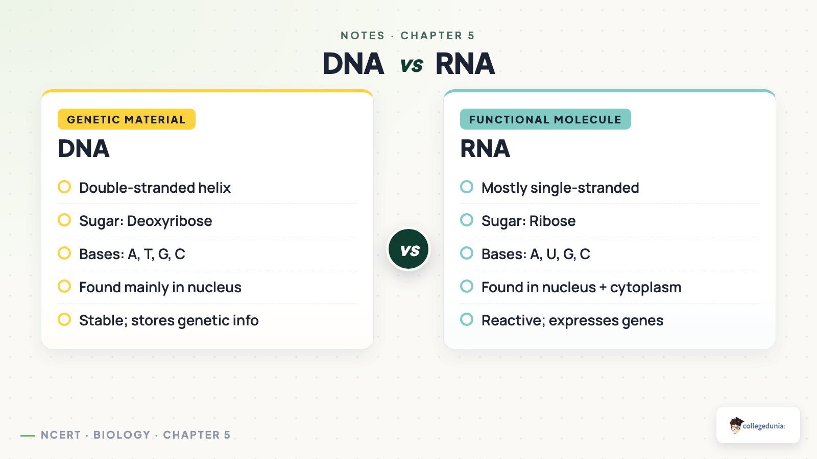 DNA vs RNA side by side comparison structure sugar bases location and stability