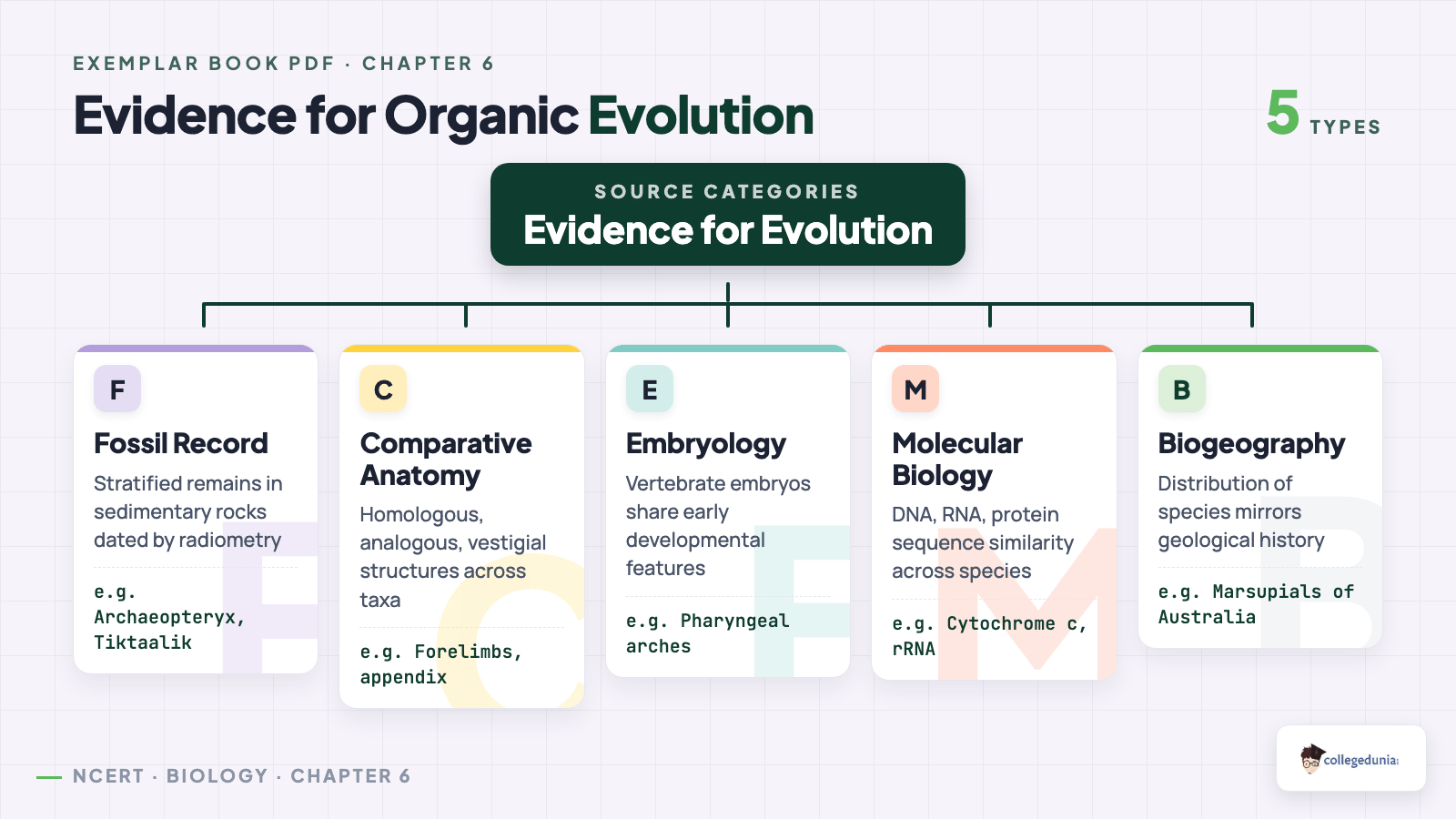 Classification tree of evidence for organic evolution — fossil, anatomy, embryology, molecular, biogeography