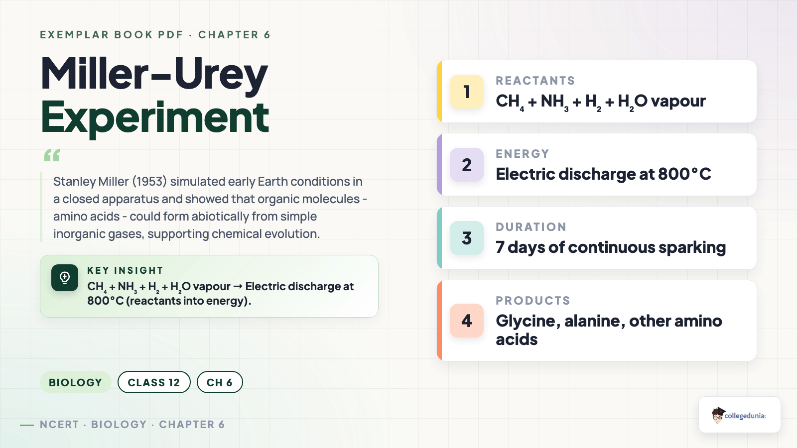 Miller-Urey experiment concept card reactants energy duration products for Class 12 Biology Evolution