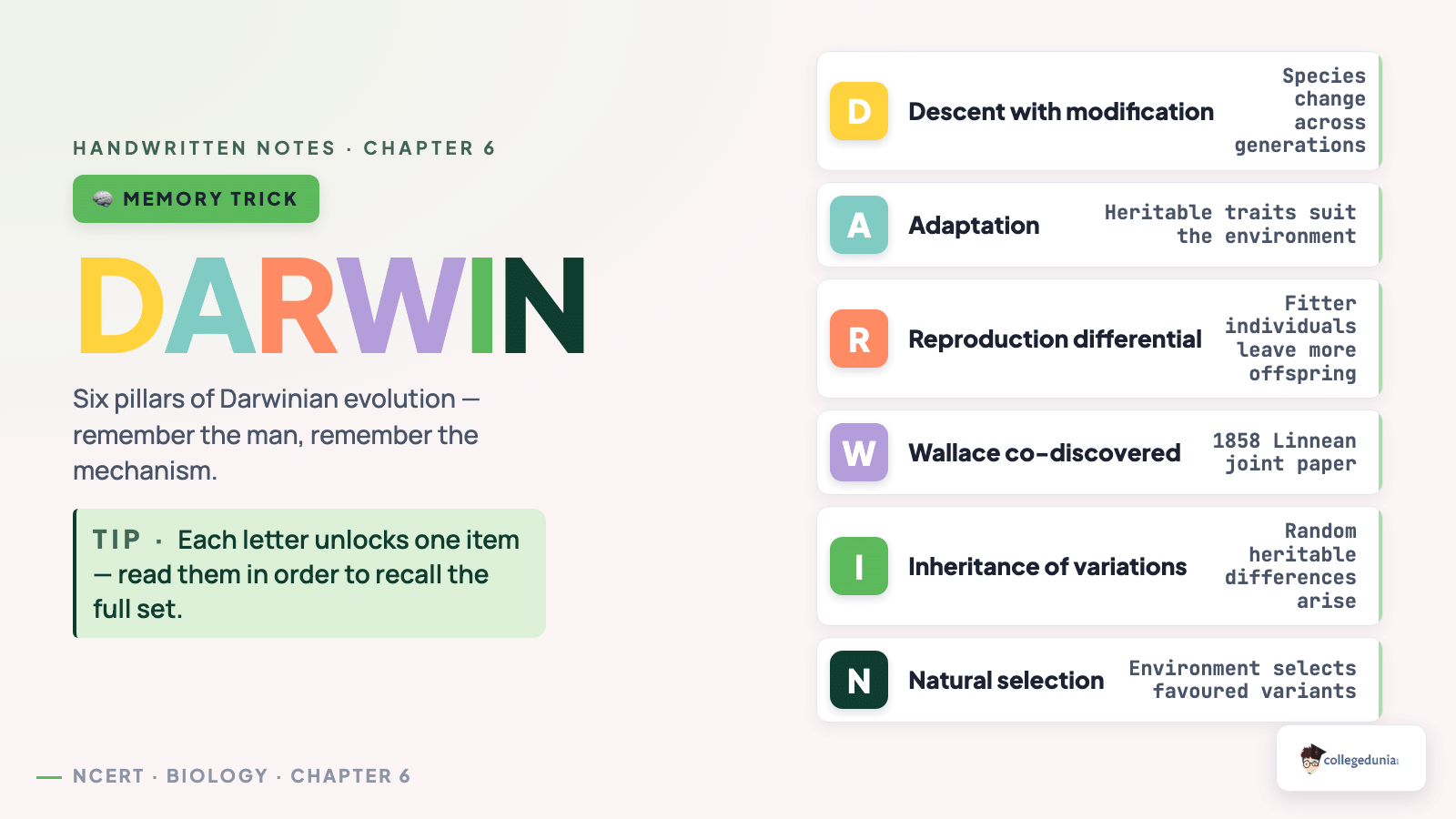 DARWIN mnemonic memory aid for Class 12 Biology Evolution handwritten notes revision