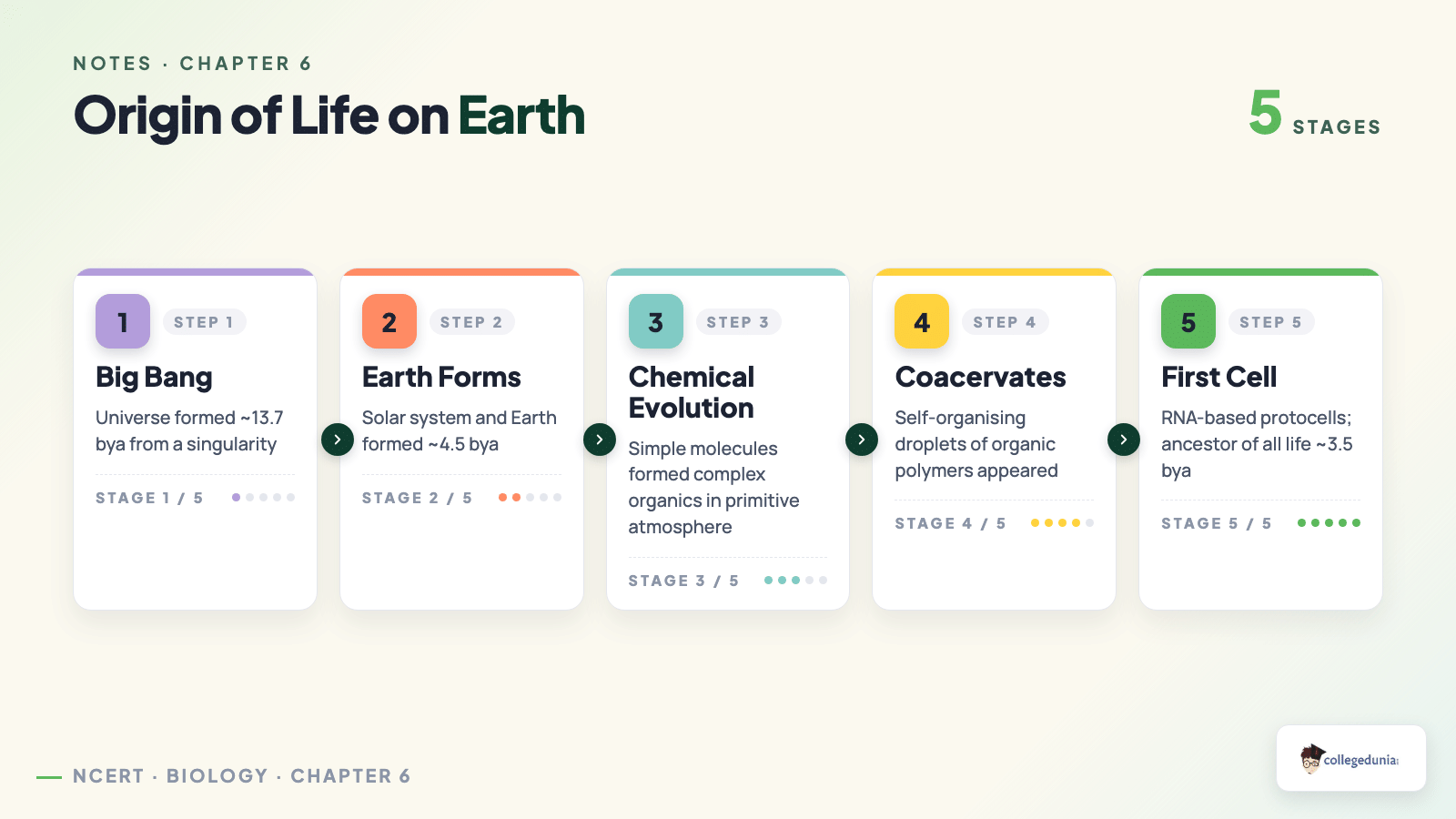 Origin of life process flow from Big Bang to first cell for Class 12 Biology Evolution notes