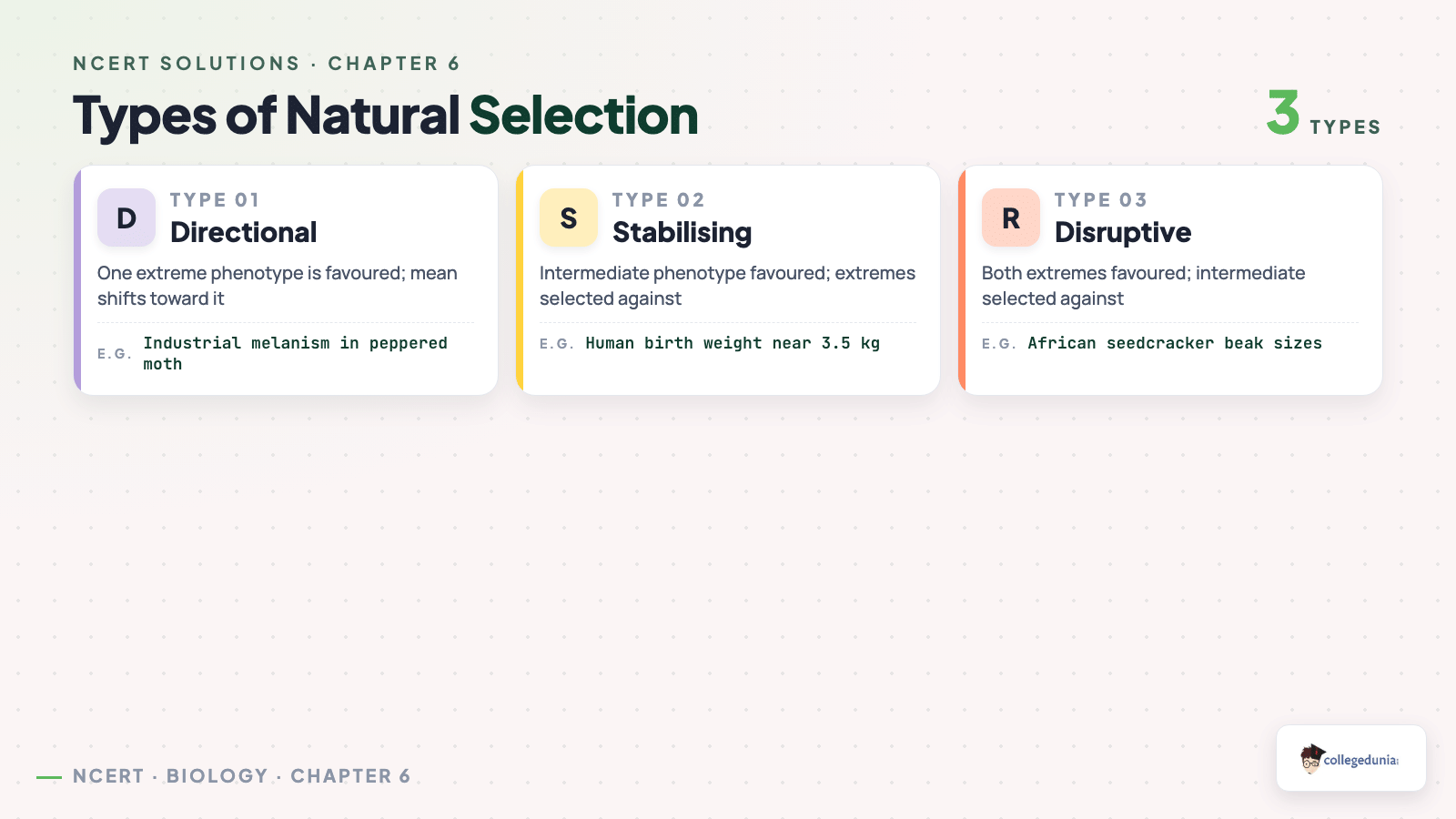 Three types of natural selection — directional, stabilising, disruptive — with examples for Class 12 Biology Evolution